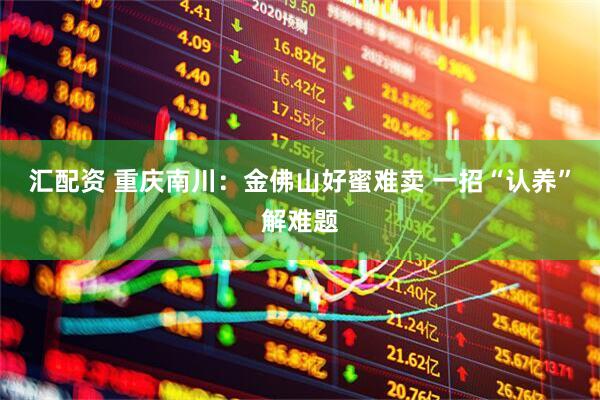 汇配资 重庆南川:金佛山好蜜难卖 一招“认养”解难题
