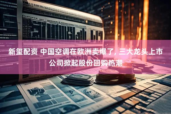 新玺配资 中国空调在欧洲卖爆了, 三大龙头上市公司掀起股份回购热潮