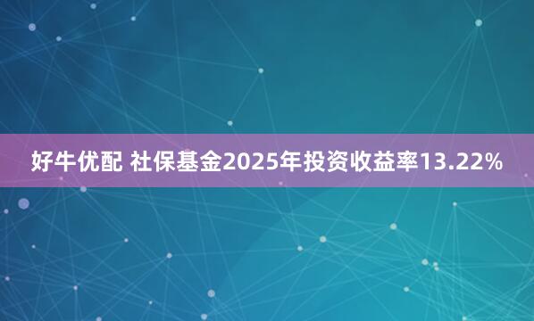 好牛优配 社保基金2025年投资收益率13.22%